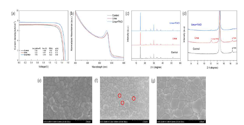 Urea, FACl 첨가에 따른 (a) J-V curve 변화 및 (b) UV-VIS spectroscopy data, (c-d) XRD data (e)control, (f)urea, (g)urea/FACl 첨가에 따른 perovskite 층 SEM 이미지 비교