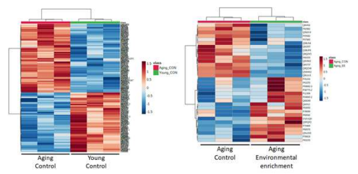 Hierarchical clustering heatmaps in DEPs. higher red and blue intensities indicate higher degree of upregulation and downregulation, respectively