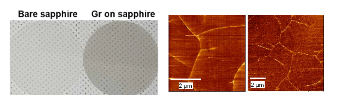 다수 동시 합성된 그래핀/사파이어기판의 사진 및 SEM 표면분석결과