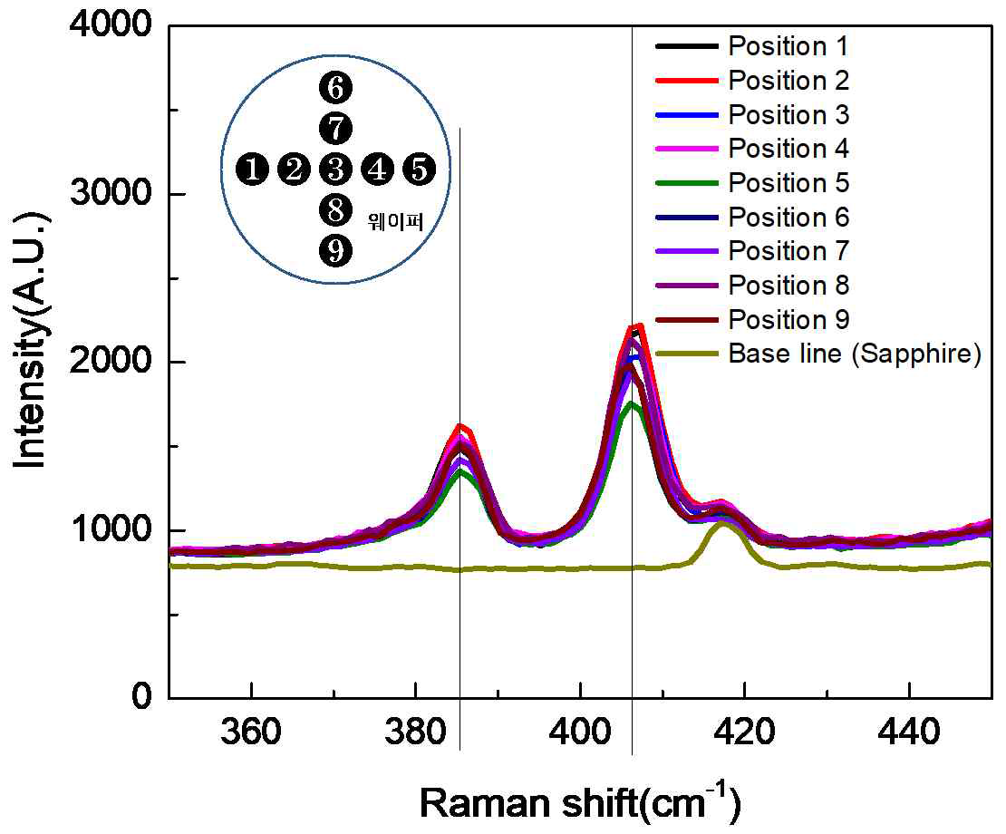합성된 대면적 MoS2의 웨이퍼 위치에 따른 라만분광분석 스펙트럼