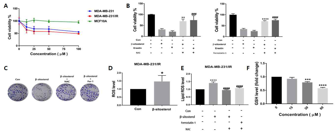 β-Sitosterol에 의한 방사선 내성 유방암세포에서의 ferroptosis 유도 연구