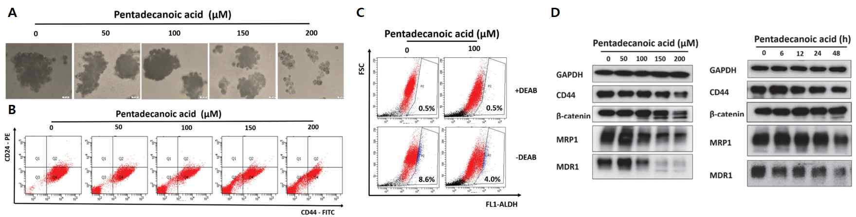 유방암줄기세포 MCF-7/SC에서의 Pentadecanoic acid에 대한 암줄기 특성 억제 효능