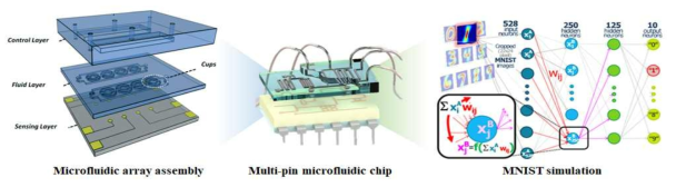 독자적인 구조의 microfluidic synaptic 어레이를 구현하고 특성 평가 실행