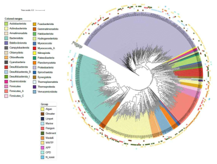 남극 환경에서 reconstruction 된 584개의 Metaenome-assembled genomes (MAGS) tree