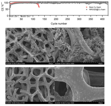 구리 폼 및 NRGQD가 코팅된 구리 폼의 장수명 충방전 효율 및 미세구조