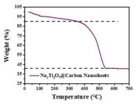 Thermogravimetric Analysis(TGA) 분석 데이터