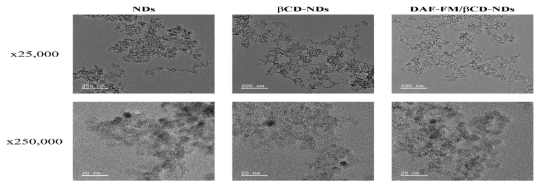 NDs, βCD-NDs 및 DAF-FM/βCD-NDs의 투과전자현미경 이미지