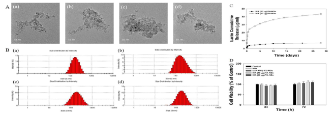 나노조절제 특성분석: (A) 투과전자현미경 이미지, (B) 동적산란법 결과, (C) 이카린 방출거동, (D) 세포독성평가