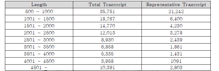 최종 어셈블리된 transcripts의 길이별 분포