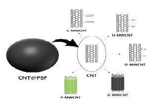 CNT@PSF 복합체의 흡착 메커니즘에 따른 다양한 functionalization 적용