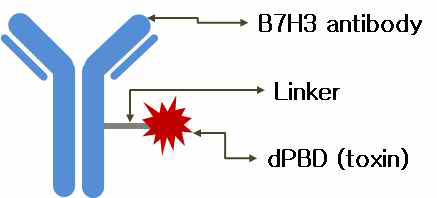 B7H3 항체-약물 전달체 모식도