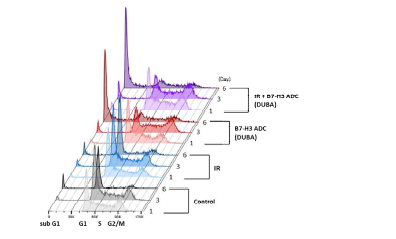 JIMT-1 세포주에서 B7H3-ADC를 처리한 후의 세포 주기 변화. Flow cytometry