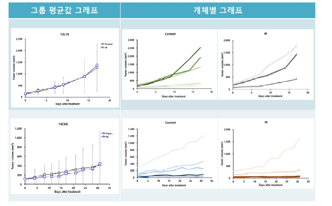 복원된 PDX 모델의 방사선 반응성 평가. 13C70(위), 14C66(아래)