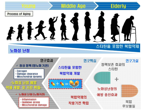 연구가설 모식도