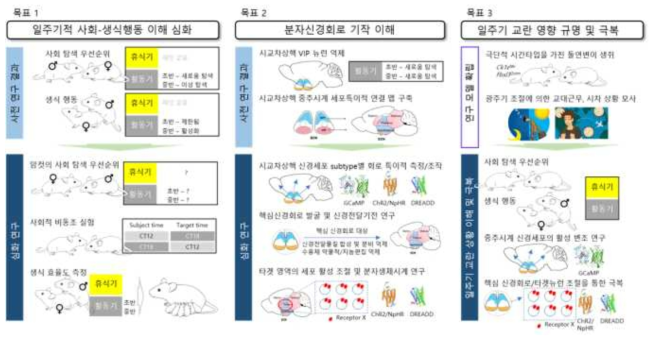 연구의 목표 및 세부 추진 내용