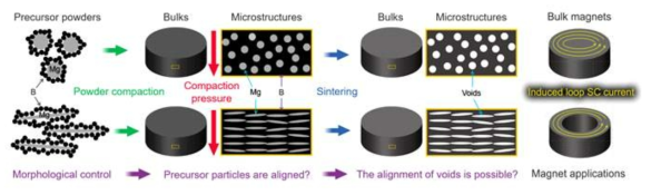 분말 압착공정을 통한 전구체의 모폴로지 제어 및 입자와 기공 정렬에 대한 개념도