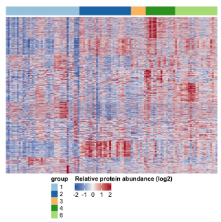 Five subtypes of non-neoplastic mucosa in gastric cancer patients