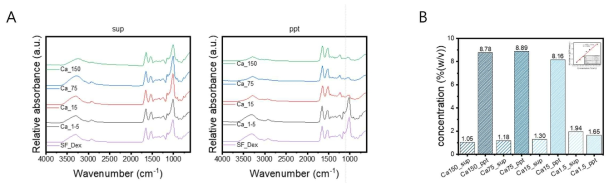 칼슘을 첨가하여 발생한 상등액과 침강부분의 (A) FT-IR 분석 및 (B) 피브로인 농도