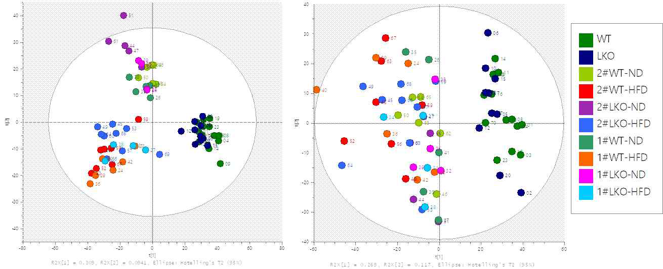 Multivariate analysis results of the metabolomics data in positive and negative ion mode. (A) positive mode (B) negative mode