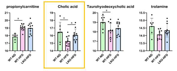 Analysis of lipid metabolites in liver of RagA/B LKO mouse fed normal diet or high fat diet.