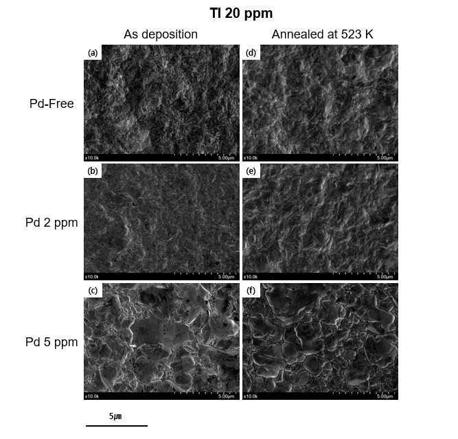 Tl 20ppm 첨가된 도금층의 표면 조직 (a) Pd-Free, (b) Pd 2 ppm, (c) Pd 5 ppm, (d) Pd-Free annealed at 523 K, (e) Pd 2 ppm annealed at 523 K, (f) Pd 5 ppm annealed at 523 K.