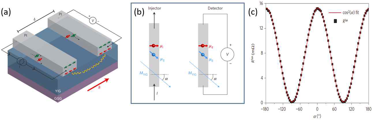 (a) 백금의 스핀 홀 효과와 역-스핀 홀 효과, 그리고 백금과 Y3Fe5O12 (YIG) 경계에서 발생하 는 Spin-Pumping과 Spin-Transfer Toque 를 이용하여 매그논 전도도를 측정하는 개략도. (b) 백금(회 색)에 흐르는 전류의 스핀과 YIG 자기 모멘트 사의 상호작용에 의해 Detector 까지 매그논의 전달되는 매커니즘에 대한 개략도. (c) 순수 매그논 전도에 의한 YIG 에 자기 모멘트 방향에 따른 매그논 전도도 변화.