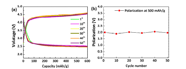(a) Li-CO2 배터리의 충방전 사이클 그래프 및 (b) 분극 크기에 대한 그래프