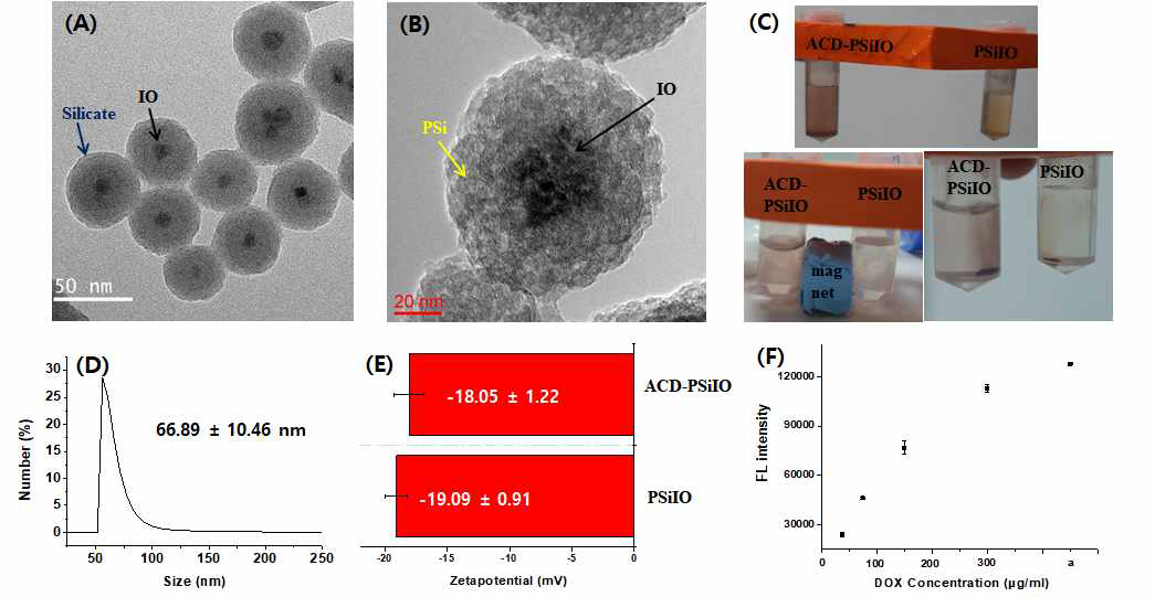 PSiIO와 ACD-PSiIO의 특성 분석; (A) 실리카/산화철 코어쉘 나노입자의 전자현미경 사진, (B) PSiIO의 전자현미경 사진, (C) 외부자력에 반응하는 PSiIO와 ACD-PSiIO 입자 사진, (D) PSiIO의 입자크기 분포 분석, (E) PSiIO와 ACD-PSiIO의 표면전하 비교 결과, (F) 형광 기반 ACD 로딩 (a 농도 로딩)분석 결과