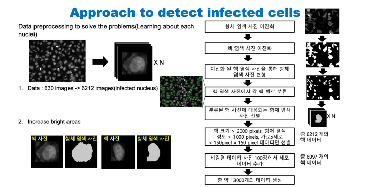 단세포 단위의 감염/비감염 세포 분류 분석 도식도