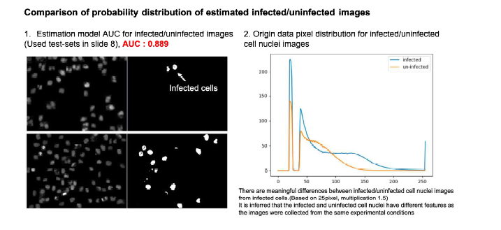 nucleus 염색시그널을 기준으로 단세포 단위의 감염/비감염 세포의 분류 도식도