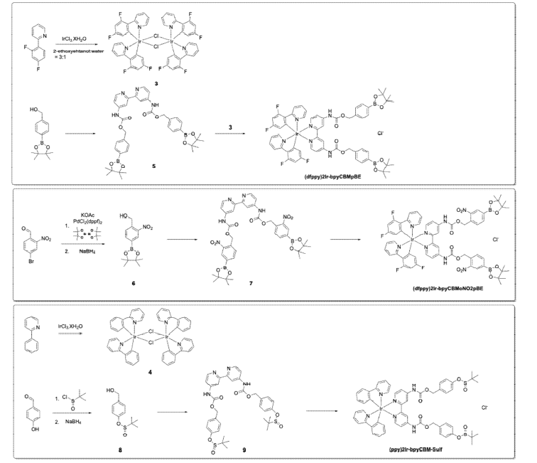 형광활성산소센서 합성전략: (dfppy)2Ir-bpyCBMpBE, (dfppy)2Ir-bpyCBMoNO2pBE, (ppy)2Ir-bpyCBM-Sulf