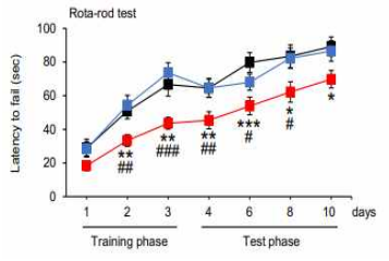 Nvkx3 유전자 결손 마우스 모델의 행동학적 반응 비교 (Rota-rod test)