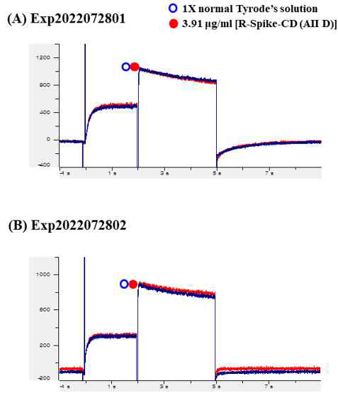 Effects 3.91 ㎍/ml R-t-Spike CD(D) on hERG channel currents. Currents (A-B) were recorded from a single CHO (Chinese Hamster Ovary) cell before (open circle) and after application of 3.91 ㎍/ml R-t-Spike CD(D) (closed circle). The file name is given above each current trace (n=2). X axis: Time (sec), Y axis: Current (pA).