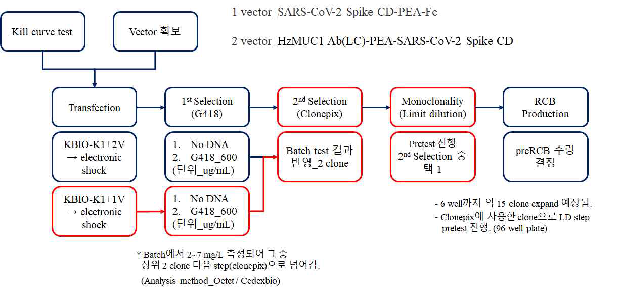 SARS-CoV-2 Spike CD를 세포내로 전달하기 위한 융합단백을 생산하기 위한 생산 세포주 개발 진행