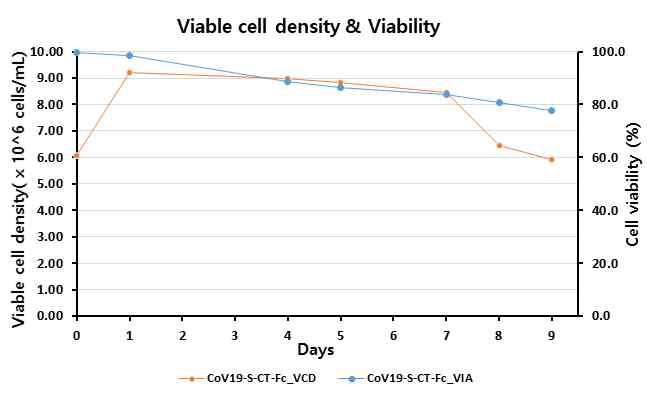 후보물질 CoV19-S-CT-Fc의 일시발현 세포의 성장 및 생존도