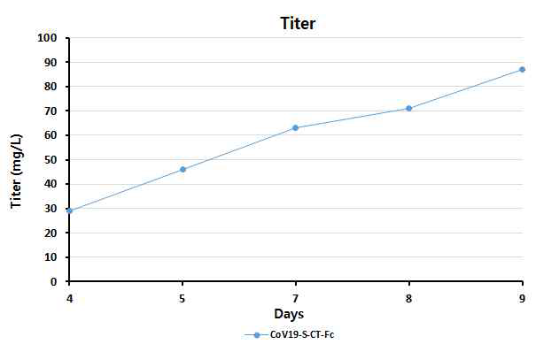 후보물질 CoV19-S-CT-Fc의 일시발현 세포의 후보물질 생산성