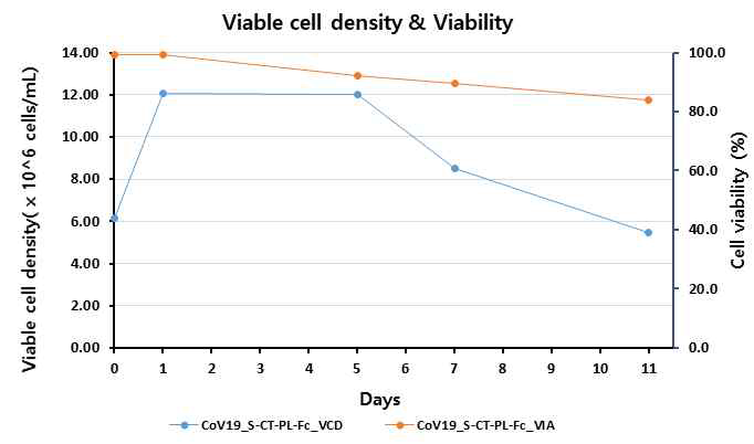 후보물질 CoV19-S-CT-PL-Fc 의 일시발현 세포 의 성장 및 생존도