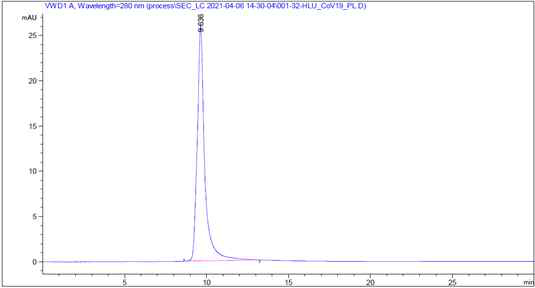 정제 시료 (CoV19-S-CT-PL-Fc) SE-HPLC 분석 결과