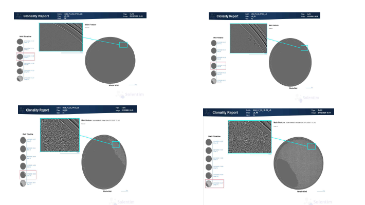 HAN_LD_1G-8PF2_Clonality report