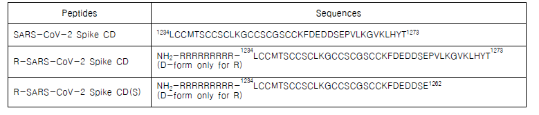 세포투과성 SARS-CoV-2 Spike CD 펩타이드 아미노산 서열