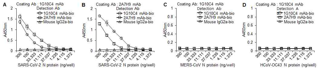 Biotin을 결합시킨 단일 클론항체들이 SARS-CoV-2 N 단백질을 특이적으로 인식함을 확 인한 ELISA결과