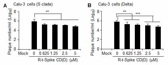 Calu-3 세포주에 0.1 MOI의 SARS-CoV-2 S clade(wild type, 그림 123A) 및 델타변이주(그림123 B)를 감염시키고 (n=3) 3 시간 후에 세포투과성 R-t-Spike CD(D) 펩타이드를 농도별로 처리하고 42 시간 후에 바이러 스의 생산량을 plaque assay로 확인한 결과.