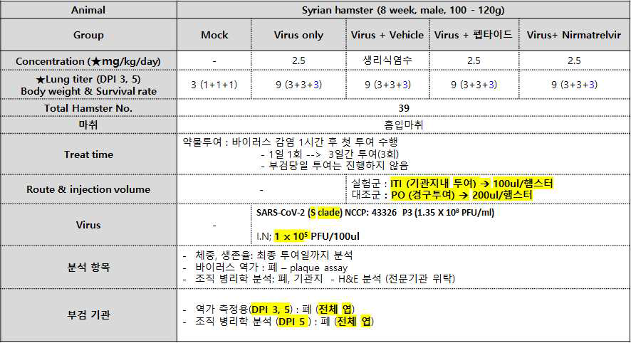 햄스터에서 세포투과성 R-t-Spike CD(D) 펩타이드 기도내 투여에 의한 SARS-CoV-2 감염 억제 효능 평가를 위한 실험 내용