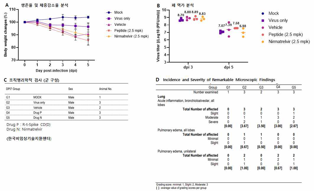 햄스터에서 세포투과성 R-t-Spike CD(D) 펩타이드를 기도내 투여에 의한 SARS-CoV-2 감염 억제 효능 평가. SARS-CoV-2 S clade(wild type)를 감염 시키고 1시간 후에 R-t-Spike CD(D) 펩타이드를 기도내 (intratrachea(IT)) 투여하고, 매일 1회씩 3일 투여하였고 셍존율과 몸무게 변화를 관찰하였음(A). SARS-CoV-2 감염 5일 후에 lung homogenates에서 plaque formation assays를 통하여 바이러스의 titer를 확인하였음(B). (C,D) SARS-CoV-2로 감염시키고 R-t-Spike CD(D) 펩타이드를 3회 기도내 투여하고 5일 후에 폐 조직을 적 출하여 H&E 염색 후 병변을 관찰한 결과. 양성대조군으로 nirmatrelvir를 이용하였음.