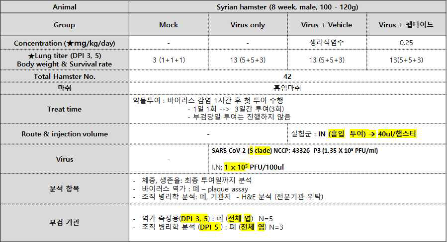 햄스터에서 세포투과성 R-t-Spike CD(D) 펩타이드 비강 투여에 의한 SARS-CoV-2 감염 억제 효능 평 가를 위한 실험 내용