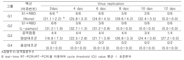 코로나바이러스 (SARS-CoV-2) 공격접종 후 일자별 real-time RT-PCR 결과