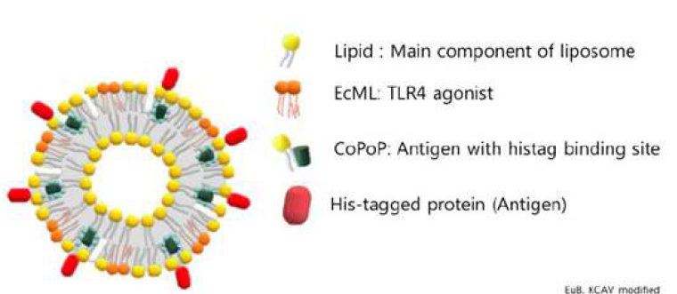 ECLS 구성