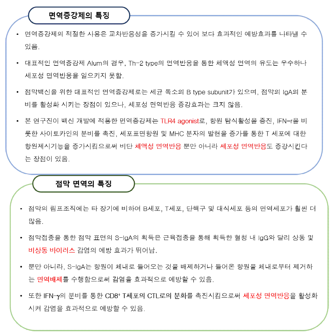 점막면역 및 본 연구팀 적용 면역증강제의 특징