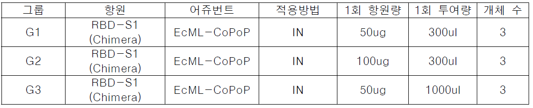 시험 그룹