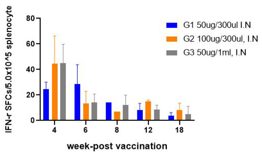 시험백신 접종 후 주차별 IFN-r ELISPOT 결과